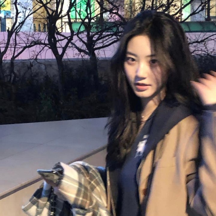 春情妃子